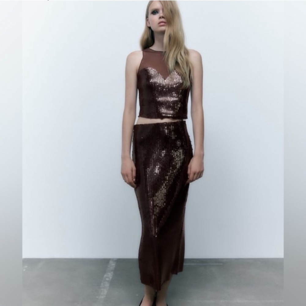 2 piece Zara dark brown sequin set